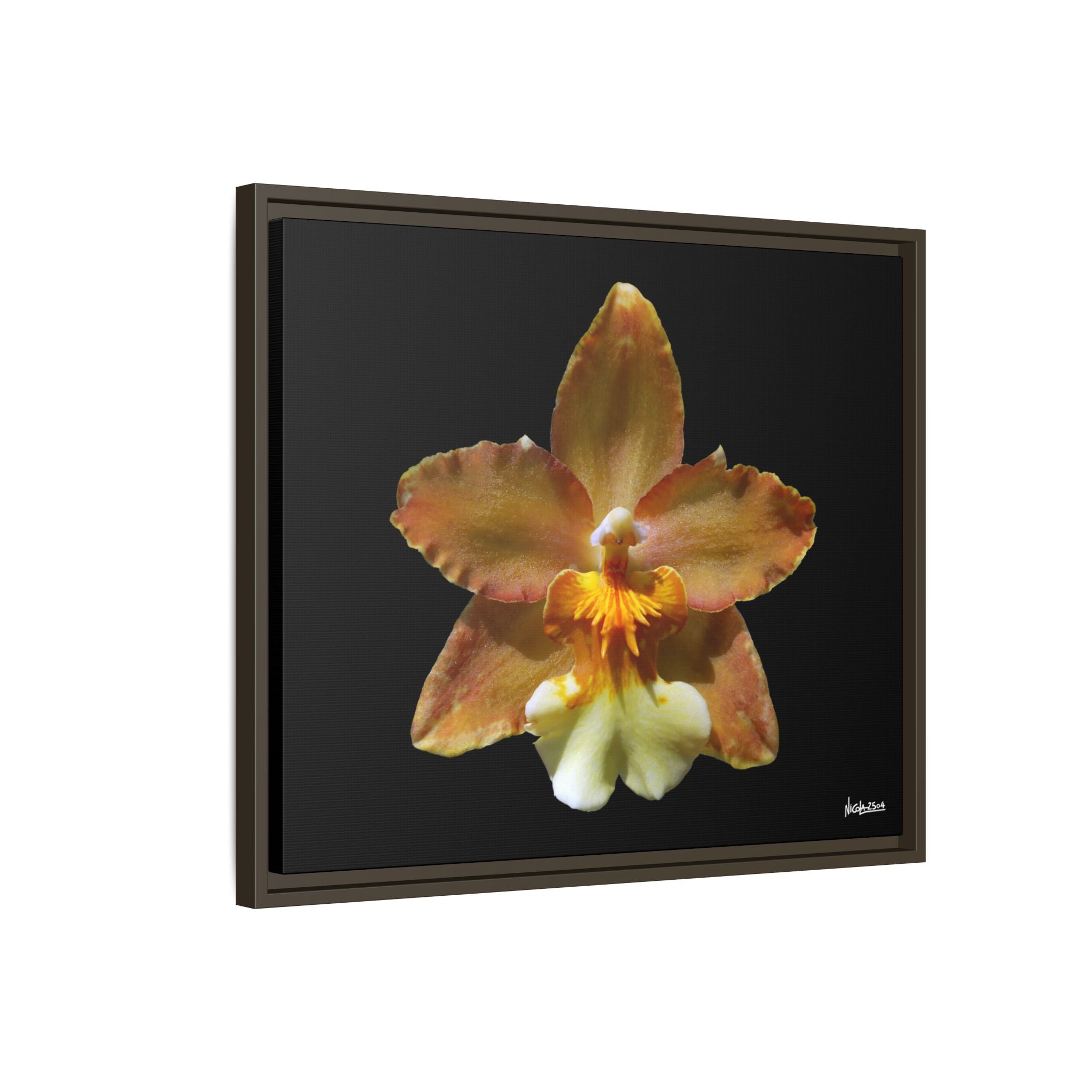 Golden Harmony Framed - 24X20