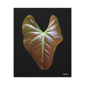 Heart of Earthlight - 20X24