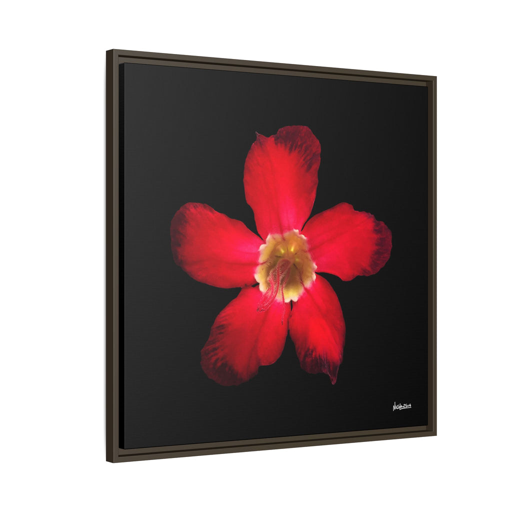 Passion in Bloom Framed - 30X30