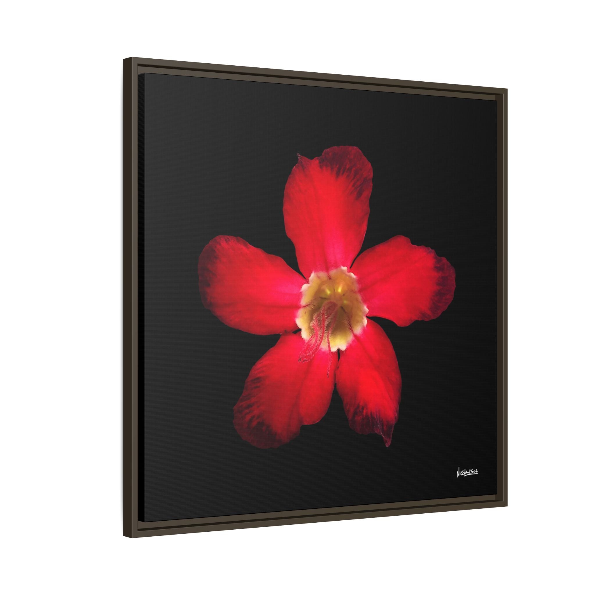 Passion in Bloom Framed - 30X30