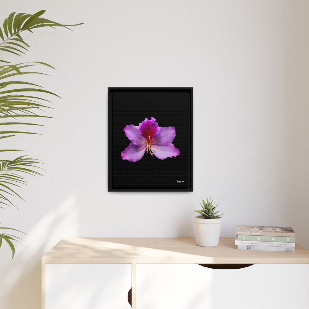 Listening Petals Framed - 16X20