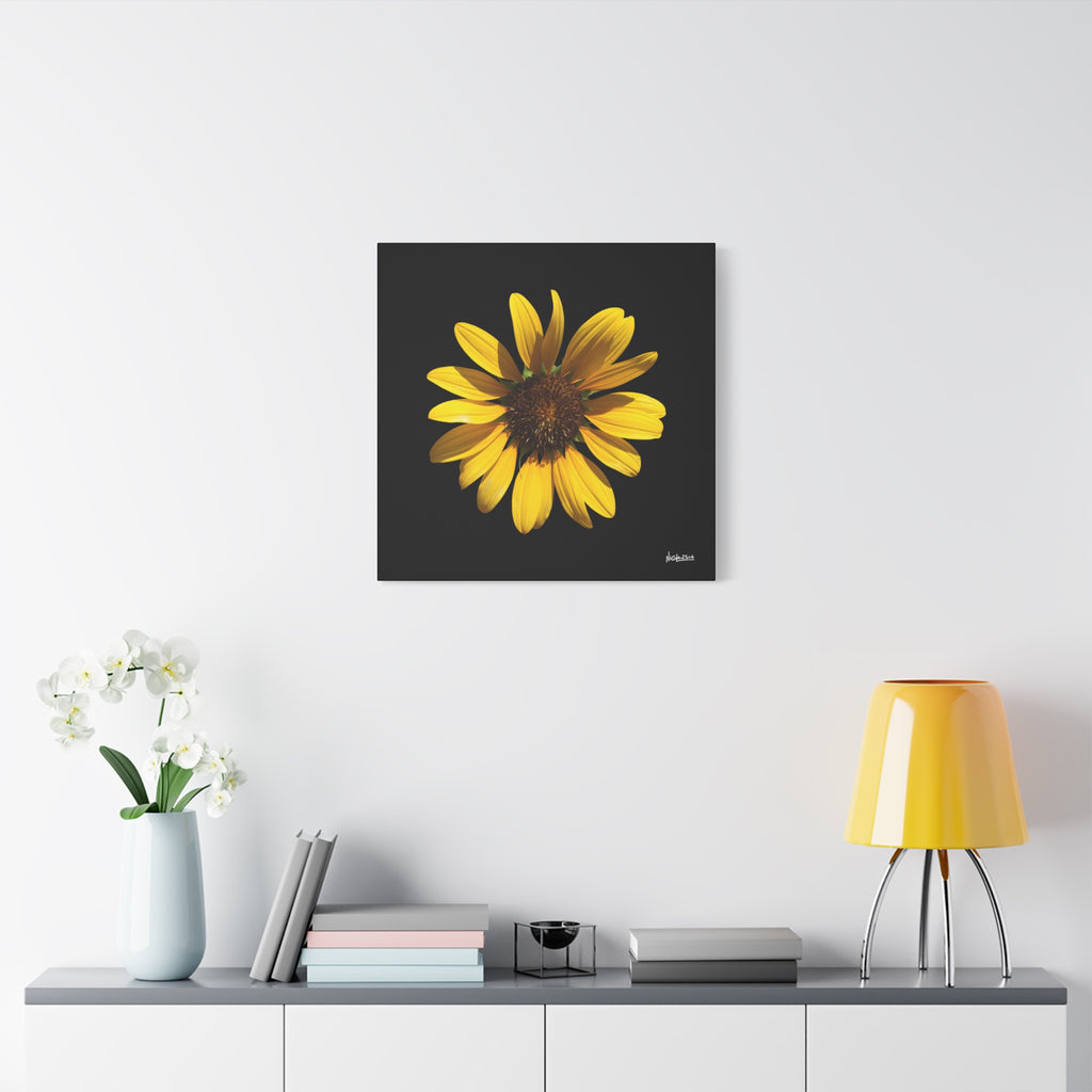Radiant Inner Sun - 24X24