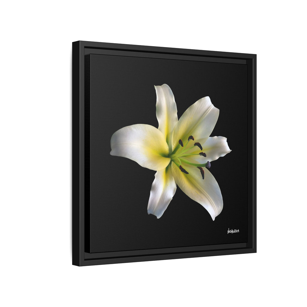 Nature's Paradise Framed - 16X16