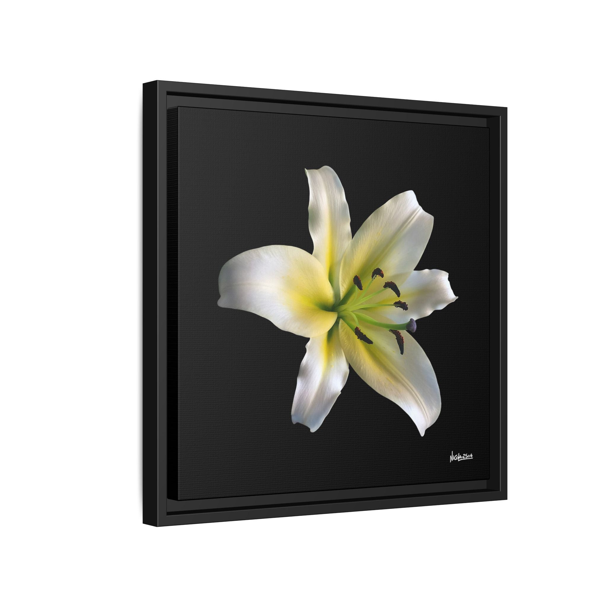 Nature's Paradise Framed - 16X16