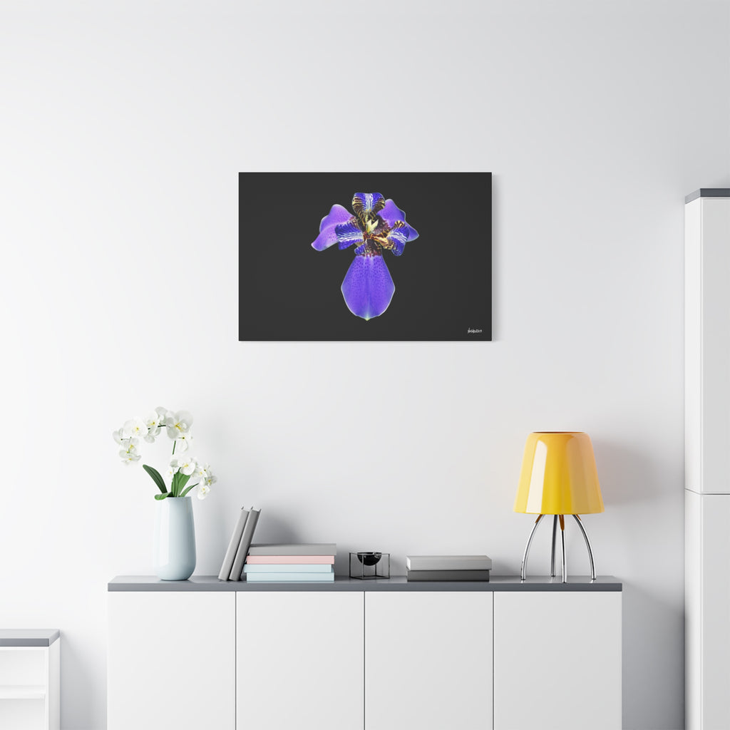 Gift of the Wait - 36X24