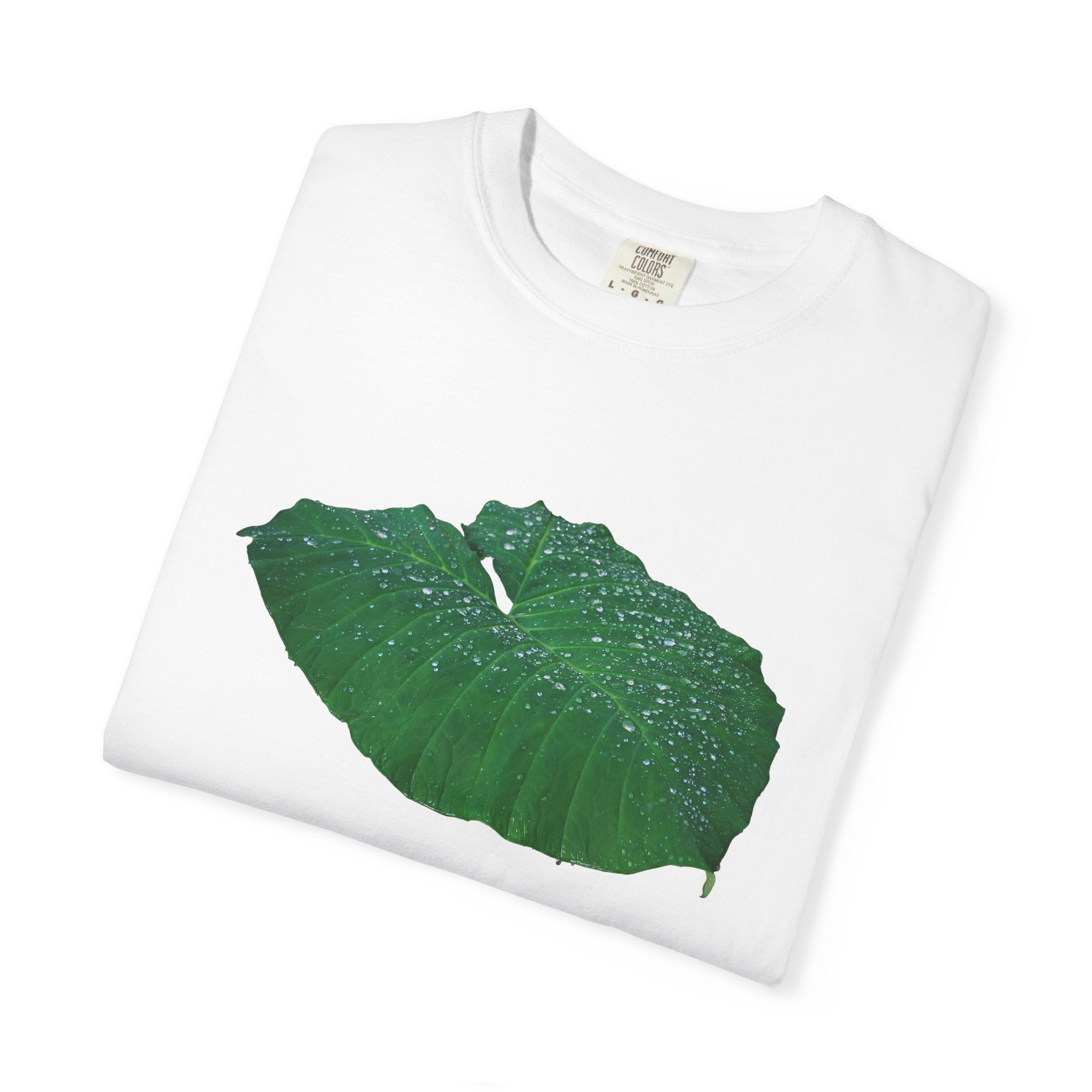 Blessing of the Rain - White