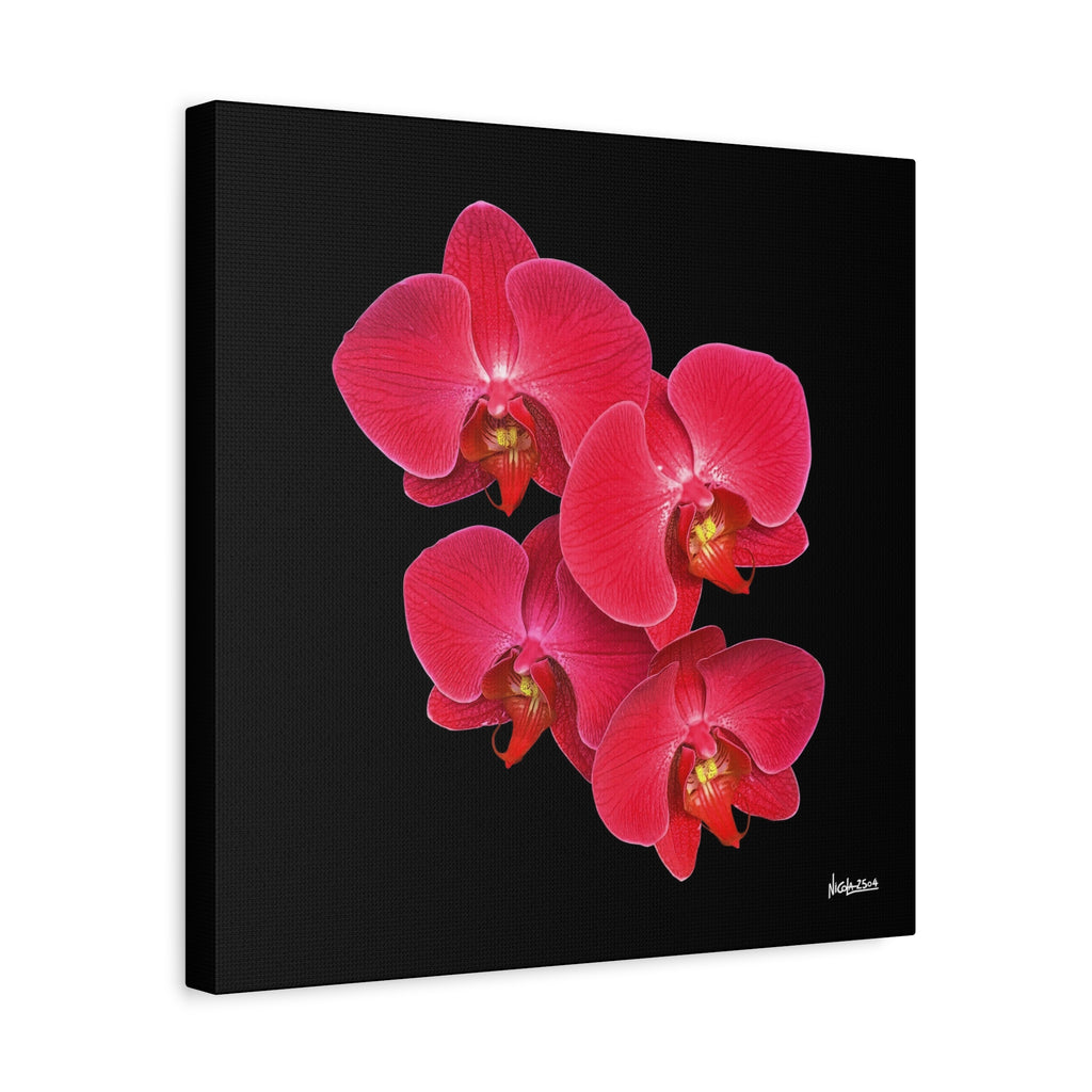 Legacy in Bloom - 16X16
