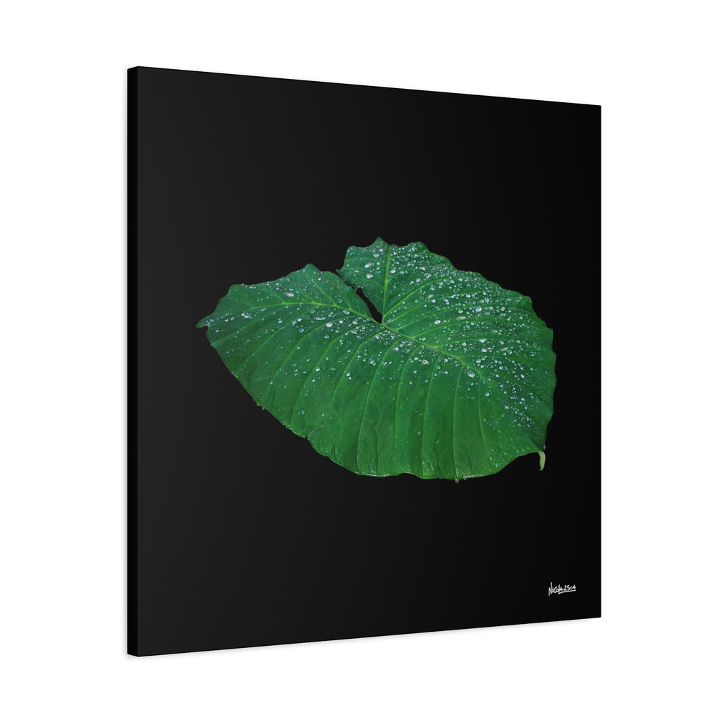 Blessing of the Rain - 30X30