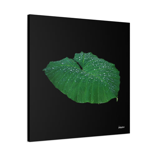 Blessing of the Rain - 30X30