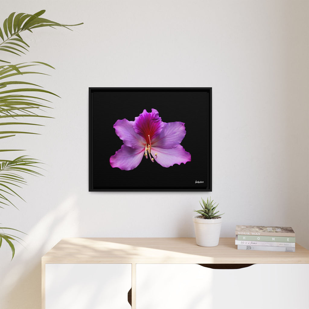 Listening Petals Framed - 24X20