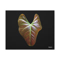 Heart of Earthlight - 16X20
