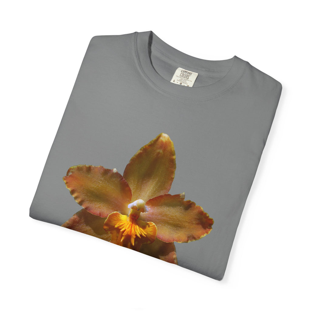 Golden Harmony - Grey