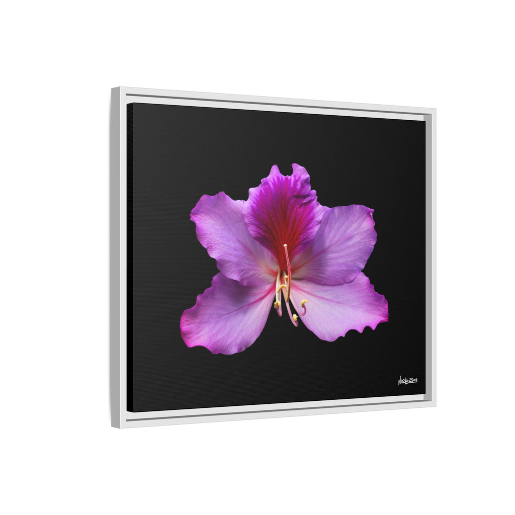 Listening Petals Framed - 24X20
