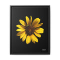 Radiant Inner Sun Framed - 16X20